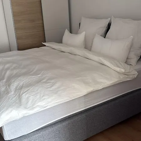 Apartment Noe