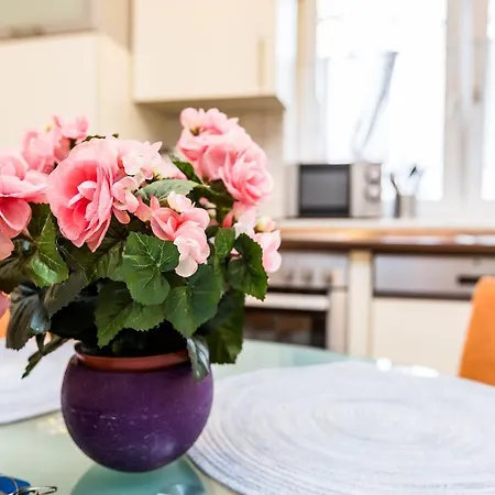 Apartment Ferienwohnung Messe
