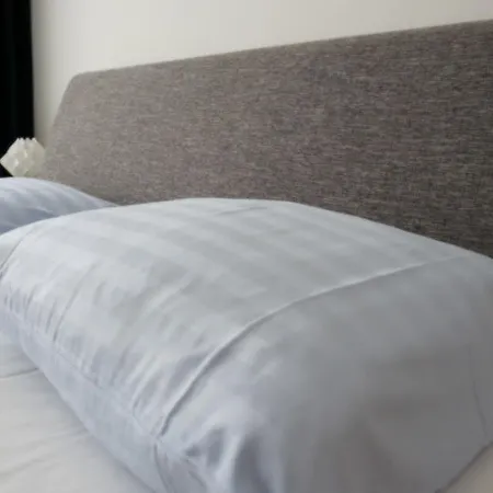 Domapartment City Altstadt