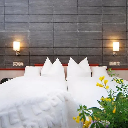 Ludwig Superior Hotel 3*