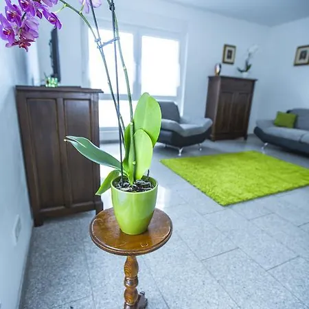Apartment Wohnen Auf Zeit