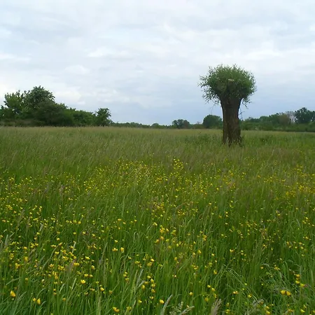 Rheinaue Cologne
