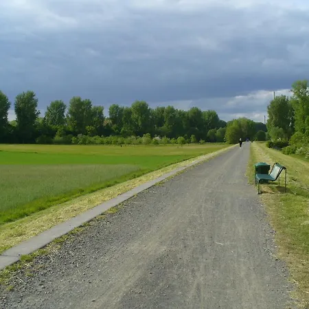 Rheinaue *