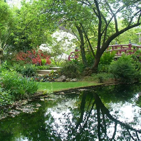 Rheinaue *