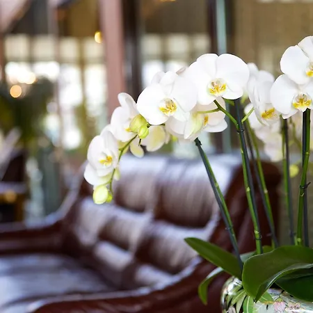 Hotel Garni Geisler