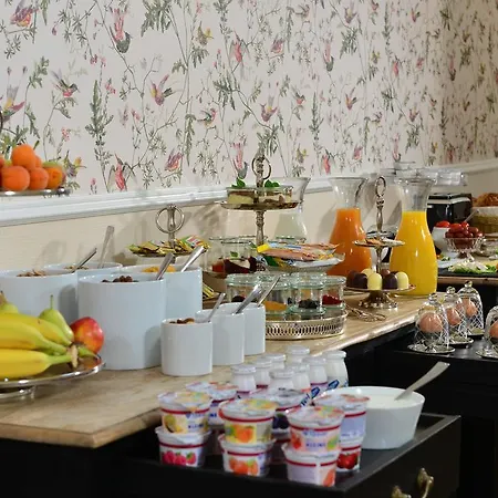 Domstern Hotel 3*