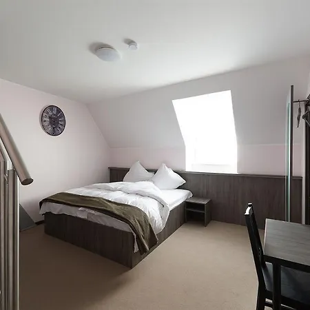 Hotel Buergerhofhotel 3*