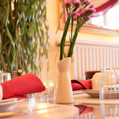 Altstadthotel Hayk Am Rhein 3*