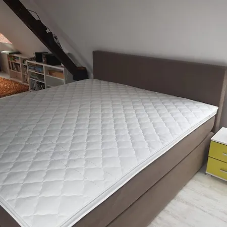 Stayincologne Bed and breakfast 2*