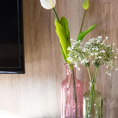 Wilms Hotel Cologne