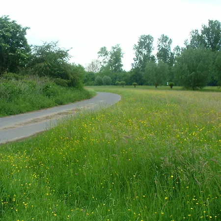 Rheinaue Apartmán