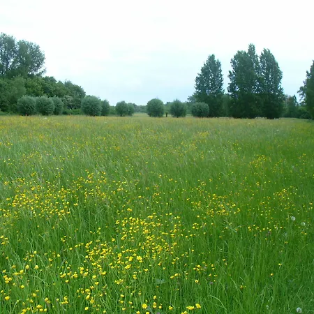 Apartmán Rheinaue