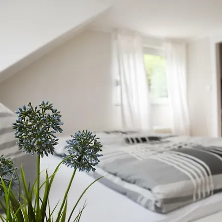 Mads Guest house 3*
