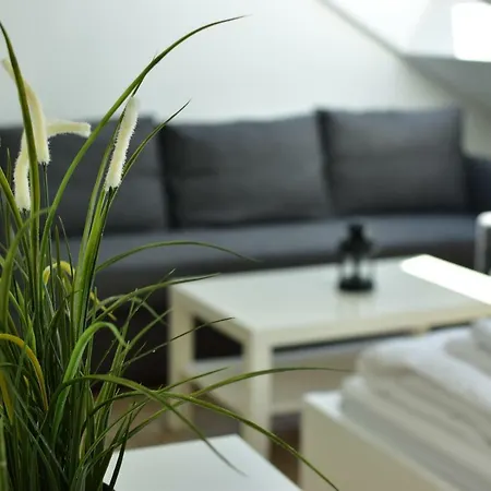 Exclusive Apartment