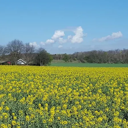 Gastezimmer Zum Neuenhof Cologne