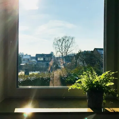 Vogelsang Cologne