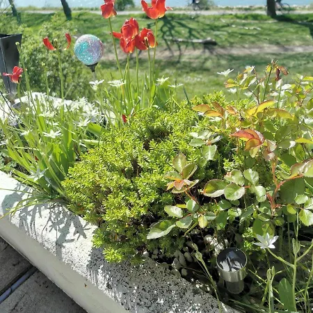Holiday home Haus Am Rhein *