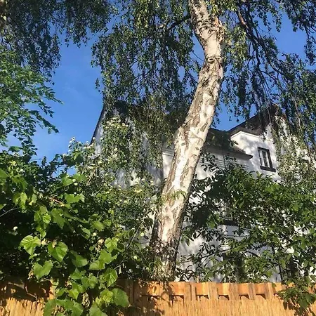 Apartament Idyllische Ferienwohnung Mit Rheinblick