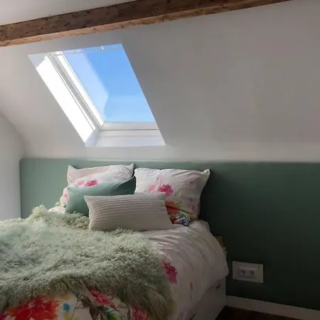 Apartament Idyllische Ferienwohnung Mit Rheinblick *