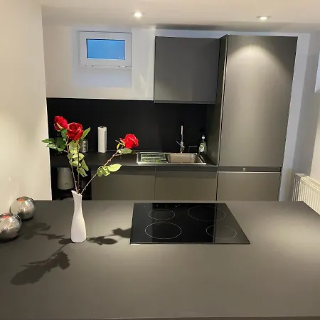 Dreamy Luxury Basement In Keulen