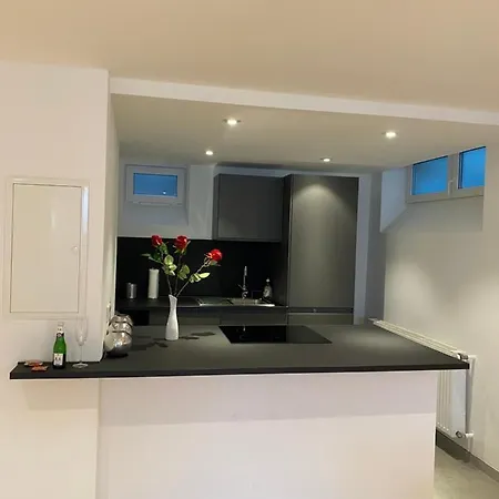 Appartement Dreamy Luxury Basement In