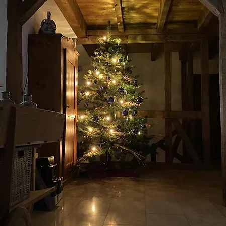 Pohlhof 3* كولونيا
