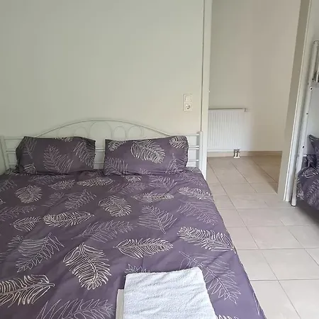 Beauty Near Messe And Airport With Garden Apartment *