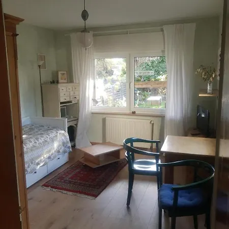 Gartenzimmer Mit Strassenbahn Zu Dom Und Messe * 科隆