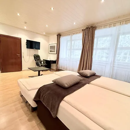 Ξενοδοχείο Altstadthotel Hayk Am Rhein 3*