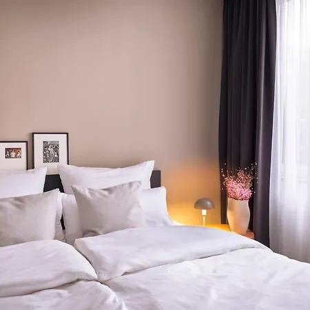 Stayery Suelz 4*