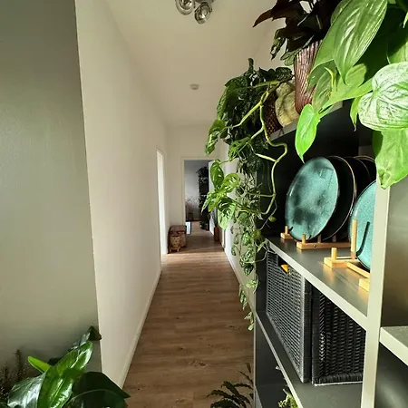 Gemuetliche Schlafcouch Im Hellen Wohnzimmer Zum Kurzaufenthalt Alloggio in famiglia Colonia
