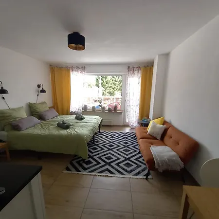 Gemuetliche Koelsche Studio-wohnung Köln