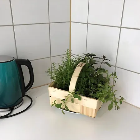 Appartement Dom Oase