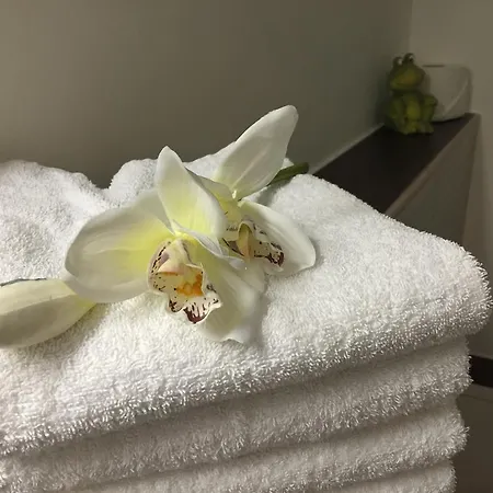 杜密兹1号酒店 公寓