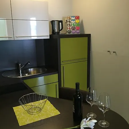 公寓 杜密兹1号酒店 *