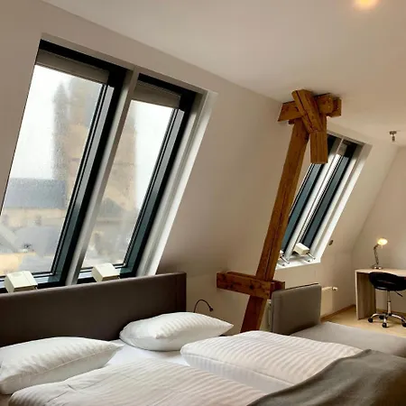 Ξενοδοχείο Altstadthotel Hayk Am Rhein 3*
