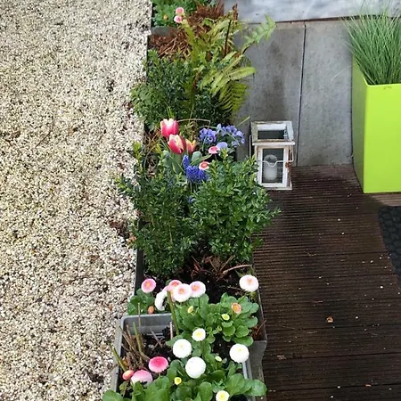 Wohnen Im Grünen - Rheinnähe Und Stadtnah