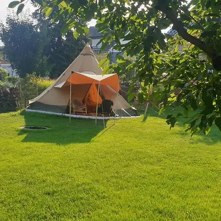 Schoenste Lage Am Rhein In Unmittelbarer Stadtnaehe, Panzió