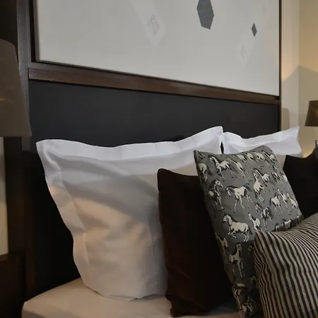 Hotel Friends 3*