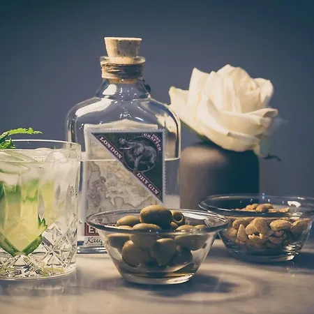 阿图姆莱茵酒店 4*