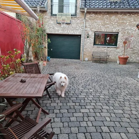 Schoenste Lage Am Rhein, Behagliches Haus Mit Kamin. * Cologne