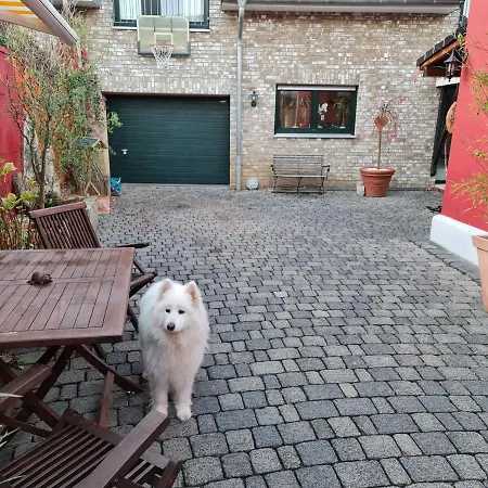 Schoenste Lage Am Rhein, Behagliches Haus Mit Kamin.
