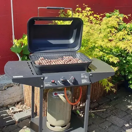 Schoenste Lage Am Rhein, Behagliches Haus Mit Kamin. Cologne