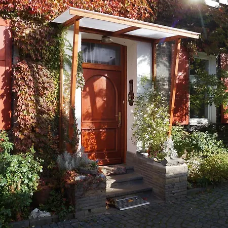 Hof Am Rhein * Cologne