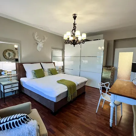 Appartement Big, Central And Charming On Schaafenstrasse *