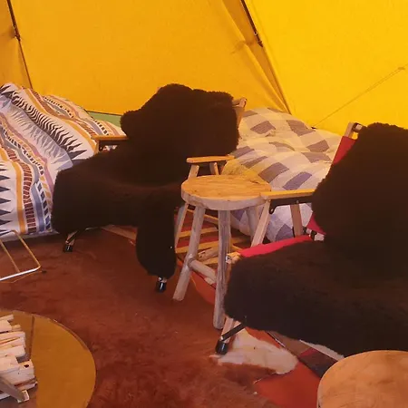 Schoenste Lage Am Rhein In Unmittelbarer Stadtnaehe, Panzió