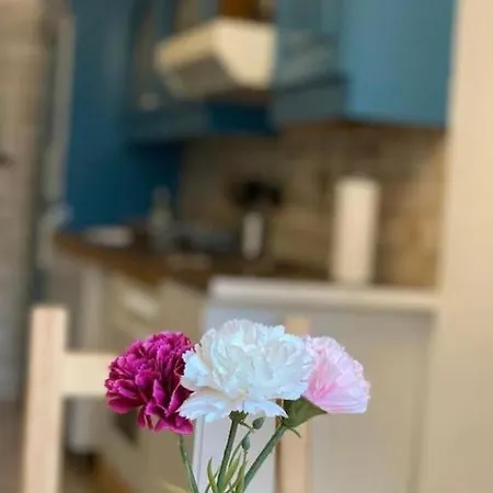 Central 3 Bedroom Apartment, Friesenstr Apartment