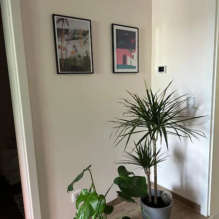 Stilvolle, Ruhige Und Zentrale In Ehrenfeld Apartamento