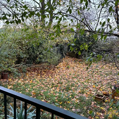 Apartment 4 Min Naehe Von Hbf Und Dom Mit Garten ,balkon & Office
