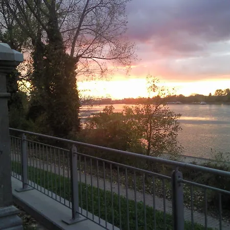Holiday home Hof Am Rhein *